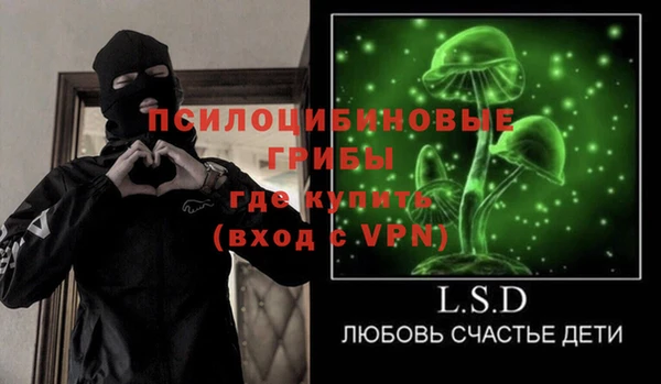 соль ск Абаза
