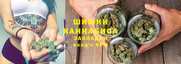 соль ск Абаза