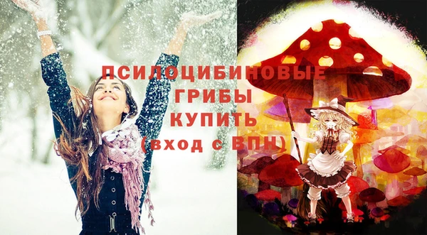 соль ск Абаза
