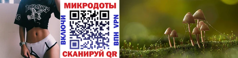 наркотики  Тайга  Галлюциногенные грибы мухоморы 