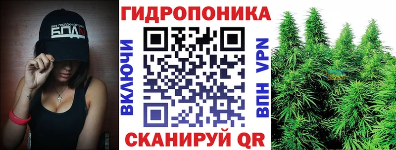 Канабис Bruce Banner  Тайга 